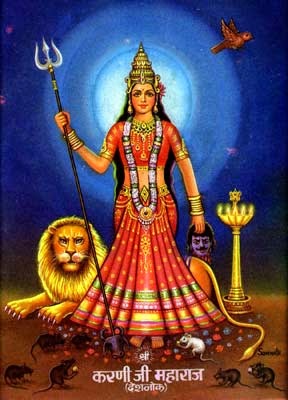 Karni Mata, ναός των αρουραίων 03