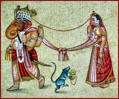 Karni Mata, ναός των αρουραίων 05