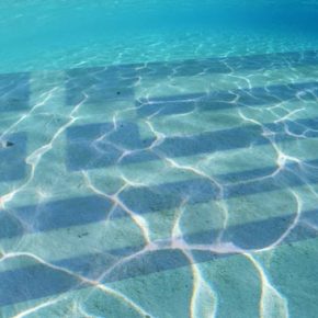 H περίπτωση της Ζωής και τα πιστοποιητικά κοινωνικών φρονημάτων made in&nbsp;SYRIZA