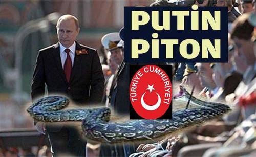 87e_putin_piton_son
