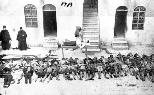 GENOKTONIA_PONTION1+AAA2