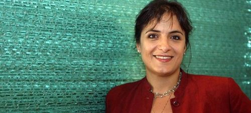 panariti-sumvoulos-varoufaki