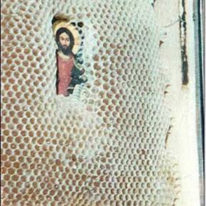 Συγκλονιστικό: Οι μέλισσες σέβονται τις Άγιες&nbsp;Εικόνες