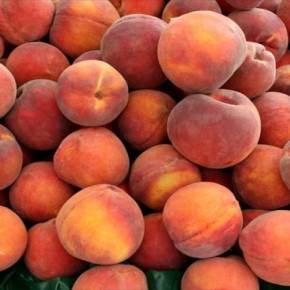 ΕΜΠΑΡΓΚΟ, ΤΕΛΟΣ ΓΙΑ ΤΗΝ ΕΛΛΑΔΑ!Ο Β.Πούτιν κράτησε την υπόσχεσή του: Οι 14 πρώτες ελληνικές εταιρείες πήραν το «πράσινο φως» για εξαγωγές στη&nbsp;Ρωσία!