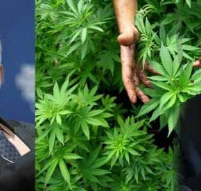 Τζορτζ Σόρος: Ο φιλάνθρωπος «γύπας» των αγορών καλοβλέπει την… κάνναβη στην χώρα&nbsp;μας!