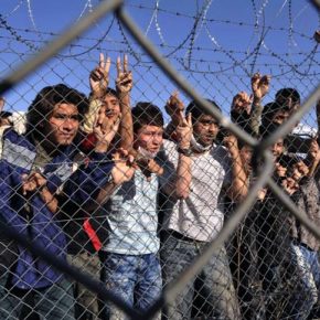 Νομοσχέδιο εξάμβλωμα για την απόδοση&nbsp;ιθαγένειας