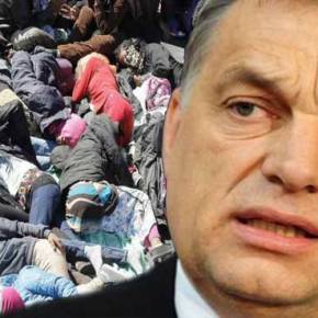 Εκτός «Δουβλίνου ΙΙ» η Ουγγαρία γιατί «γέμισε λαθρομετανάστες»! – Σε ένα χρόνο μπήκαν όσοι λάθρο μπαίνουν σε ένα μήνα στην&nbsp;Ελλάδα!