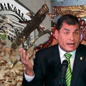 Ρ.Κορρέα: «Έτσι οι ‘ακρίδες’ του ΔΝΤ λεηλατούν τα Έθνη – Αυτά που έκαναν στην Ελλάδα τα είχαν κάνει και σε&nbsp;εμάς»