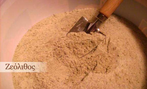 img12726_70cf50b65937d21732efc76191e89b0a_600_350