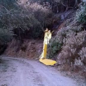 Ντοκουμέντο :Παρανάλωμα του πυρός έγινε το «Καναντέρ» CL-215&nbsp;(φώτο)