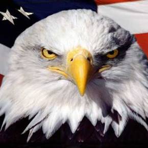 Οι ΗΠΑ διαχωρίζουν την θέση τους από την Τουρκία: «Η εισβολή στη Συρία είναι δική σας&nbsp;υπόθεση»