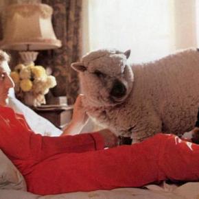 ΕΜΠΡΟΣ, ΓΙΑ ΜΙΑ ΕΥΡΩΠΑΙΚΗ ΕΝΩΣΗ&nbsp;ΤΗΣ…ΚΤΗΝΟΒΑΣΙΑΣ