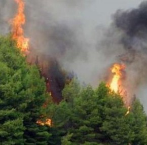 ΣΕ ΚΑΤΑΣΤΑΣΗ ΕΚΤΑΚΤΟΥ ΑΝΑΓΚΗΣ Η ΛΑΚΩΝΙΑ: Καίγονται σπίτια και μαγαζιά μέσα στη Νεάπολη – Φωνή απόγνωσης από ηλικιωμένη: «Δεν φεύγω από το βιός μου…» (ΦΩΤΟ –&nbsp;ΒΙΝΤΕΟ)