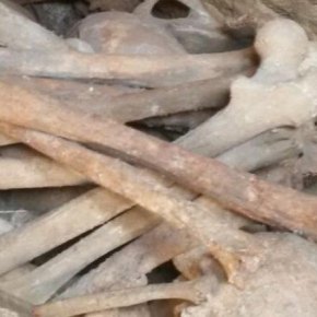 ΟΜΑΔΙΚΟΣ ΤΑΦΟΣ, (ΕΛΛΗΝΩΝ ΧΡΙΣΤΙΑΝΩΝ ;), ΑΠΟΚΑΛΥΦΤΗΚΕ ΣΤΗΝ ΚΙΟΥΤΑΧΕΙΑ ΤΗΣ&nbsp;ΤΟΥΡΚΙΑΣ