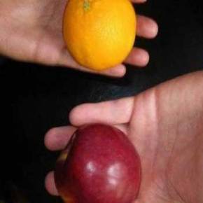 WSJ: Στην Ελλάδα των capital controls ανθεί η… ανταλλαγή προϊόντων -4 ιδιόμορφες&nbsp;κοινότητες