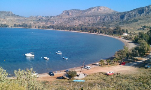 PARALIA