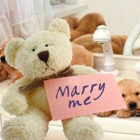 Χιλιάδες σκυλιά διακινεί γερμανικό κύκλωμα κτηνοβασίας από την Ελλάδα στην&nbsp;Γερμανία!