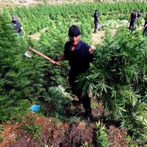 Έμπορος Ναρκωτικών ο Αλβανός Υπ. Εσωτερικών – Τον Καλύπτει ο&nbsp;Ράμα