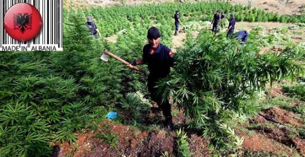 ΕΜΠΟΡΟΣ-ΝΑΡΚΩΤΙΚΩΝ2