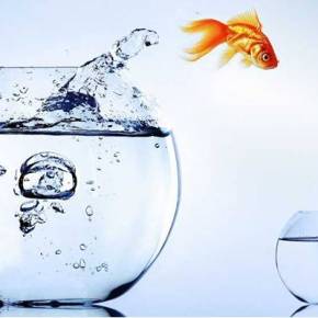 Τουρκικός αντιπερισπασμός σε Συρία με πτήση μαχητικών της ΤΗΚ πάνω από το ελληνικό&nbsp;έδαφος