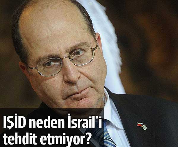 fft86_mf6271049--600x496