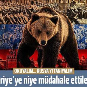 ΤΑ «ΔΟΝΤΙΑ» ΤΗΣ ΑΡΚΟΥΔΑΣ ΔΕΝ&nbsp;ΑΣΤΕΙΕΥΟΝΤΑΙ