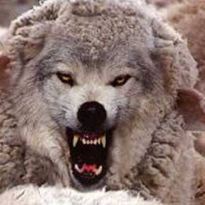 Ύποπτο ρόλο διαδραματίζουν οι μουσουλμάνοι βουλευτές του ΣΥΡΙΖΑ στην επιτροπή εξωτερικών και άμυνας της&nbsp;βουλής