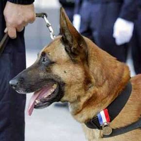 Νεκρή σώζοντας τους συναδέλφους της η&nbsp;Diesel