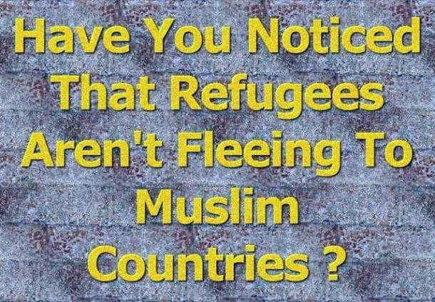 cebccf80cebfcf81ceb5