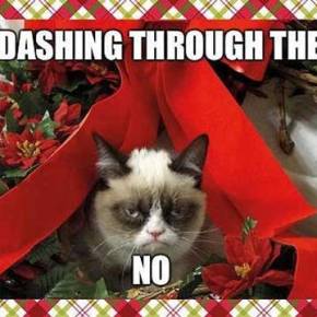 ΤΕΡΜΑ ΤΑ ΧΡΙΣΤΟΥΓΕΝΝΑ, ΤΩΡΑ… «ΓΙΟΡΤΗ ΦΩΤΟΣ»,&nbsp;(βίντεο)