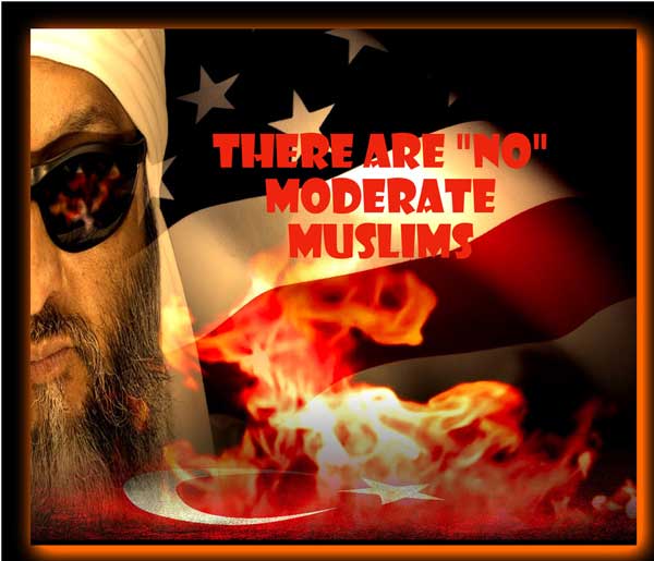 GIMP---2--SEH-EB-ModerateMuslims-Mohammed-2-