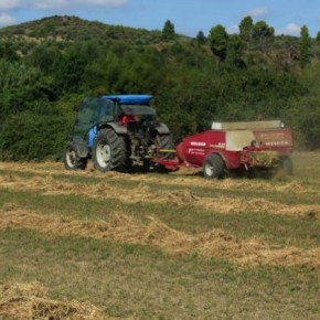 Κοινωνική Ασφάλιση για τους αλλοδαπούς εργάτες&nbsp;γης