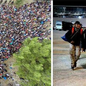 Ράκα καταντήσατε την Αττική …Δεν θα γίνουμε και εμείς Ειδομένη&nbsp;κ.Μουζάλα!