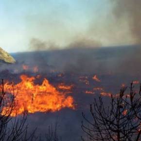 Χίος: Λαθρομετανάστες έβαλαν φωτιά σε ολόκληρη νησίδα στις Οινούσσες για να… ζεσταθούν! – Τραυματίστηκε&nbsp;πυροσβέστης