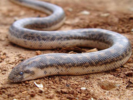 2-01-2016-17-09-5687e82d181f4