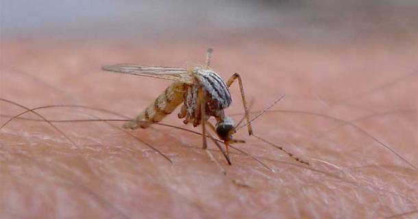 ceb9cebfcf83-ceb6ceb9cebaceb11