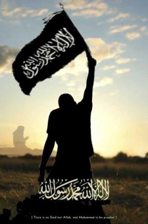 resize-500x757_12-287