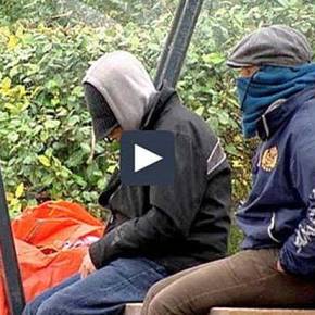 Βέλγιο: Περιφερειάρχης και αστυνομικές δυνάμεις προσπαθούν να αποτρέψουν κύματα λαθρομεταναστών να κάνουν γκέτο την Δυτική Φλάνδρα&nbsp;(Βίντεο)