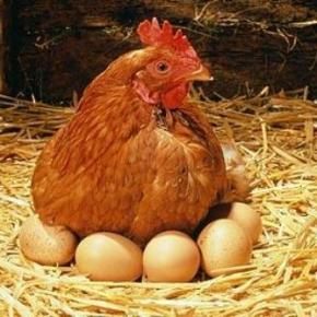 Στο Λάτση χαρίζουν τα πετρέλαια της Δυτικής Ελλάδας. Μιλάνε ρε οι&nbsp;κότες;