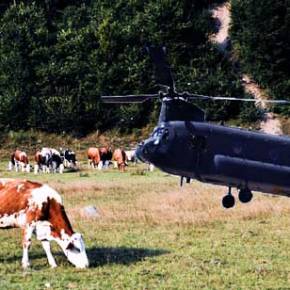 Δείτε που προσγειώθηκε το ΣΙΝΟΥΚ του Καμμένου στη Κώ (video)…Σε χωράφια με τα&nbsp;Γελάδια!