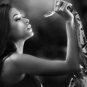 ΤΟ ΦΙΔΙ, Η ΓΥΝΑΙΚΑ ΚΑΙ ΟΙ…ΛΑΘΡΟΜΕΤΑΝΑΣΤΕΣ! (βίντεο)