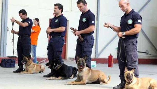 σκυλια_0__650x369