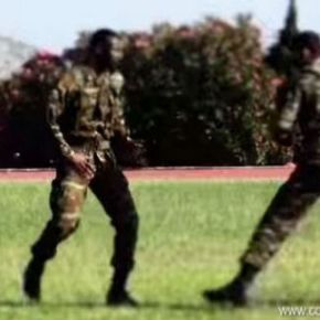 Ξεχάστε ό,τι ξέρατε! Αυτή είναι η νέα πολεμική τέχνη του Ελληνικού Στρατού…&nbsp;(ΒΙΝΤΕΟ)