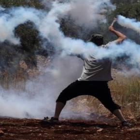Μάχες στην Κω: Οι πολίτες αντιστέκονται στην ισλαμική εισβολή (φωτό) – ΒΙΝΤΕΟ ΑΠΟ ΤΙΣ ΣΥΓΚΡΟΥΣΕΙΣ ΣΤΟ ΝΗΣΙ ΓΙΑ ΤΑ HOT SPOT&nbsp;–