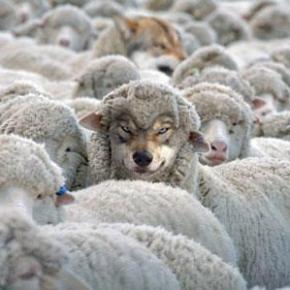 Αιγαίο: Ο λύκος θα φυλάει τα&nbsp;πρόβατα!