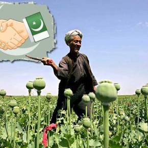 Τουρκικά εργαστήρια μετατρέπουν το αφγανικό όπιο σε ηρωίνη για αποστολή στην&nbsp;Ευρώπη