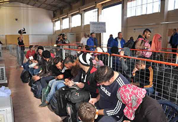 ceb963cee55d69a60a50d2e62413ac86