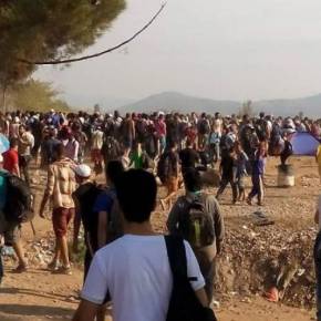 ΤΡΑΓΙΚΕΣ ΚΑΤΑΣΤΑΣΕΙΣ ΣΤΗΝ ΕΛΛΑΔΑ Συναγερμός στην Ειδομένη: Κρούσμα ηπατίτιδας – Φόβοι για επιδημίες φυματίωσης και χολέρας [upd]&nbsp;–