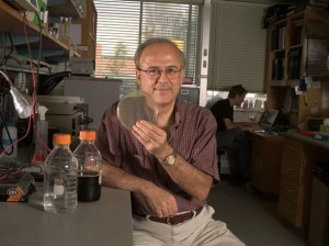 gregory-stephanopoulos-300x224