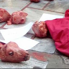 ΣΟΚ ΣΤΟΝ ΠΕΙΡΑΙΑ: Άγνωστοι πέταξαν δέκα κεφάλια ΣΦΑΓΜΕΝΩΝ ΑΡΝΙΩΝ στην είσοδο του Μητροπολιτικού Ναού της Αγίας&nbsp;Τριάδας!!!